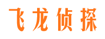 石泉飞龙私家侦探公司